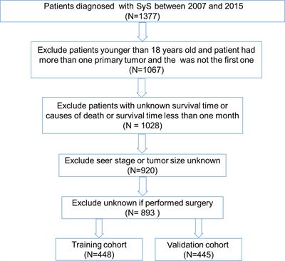 Development and Validation of the Nomograms for Predicting Overall Survival and Cancer-Specific Survival in Patients With Synovial Sarcoma